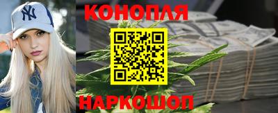 гидропоника Гусиноозёрск