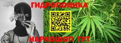 гидропоника Гусиноозёрск