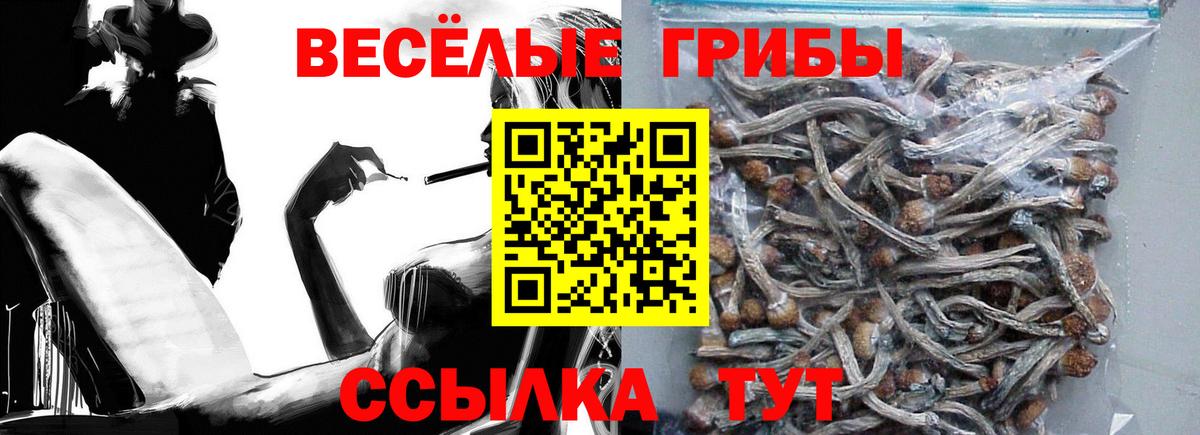 Новоалександровск  Галлюциногенные грибы Psilocybe  Вход с VPN 