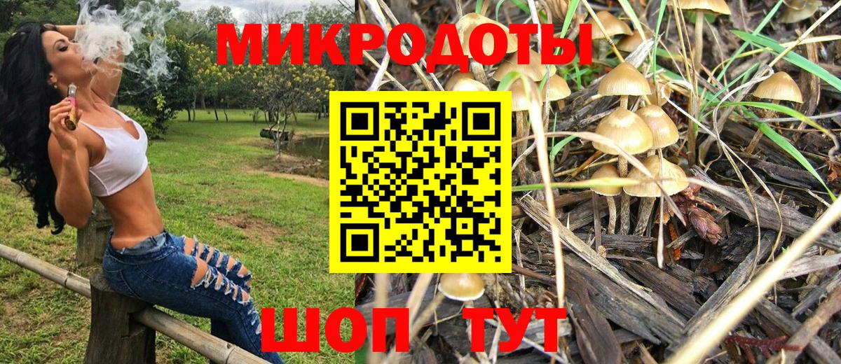 Псилоцибиновые грибы мицелий Новоалександровск
