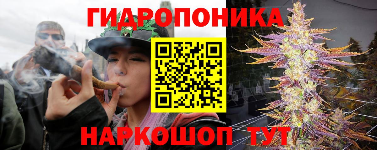 Канабис OG Kush  Марихуана планчик  Новоалександровск  Вход с VPN  Бошки марихуана Ganja 